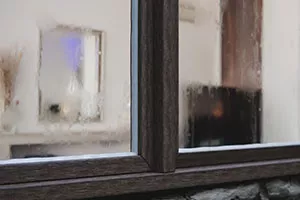 fenster1